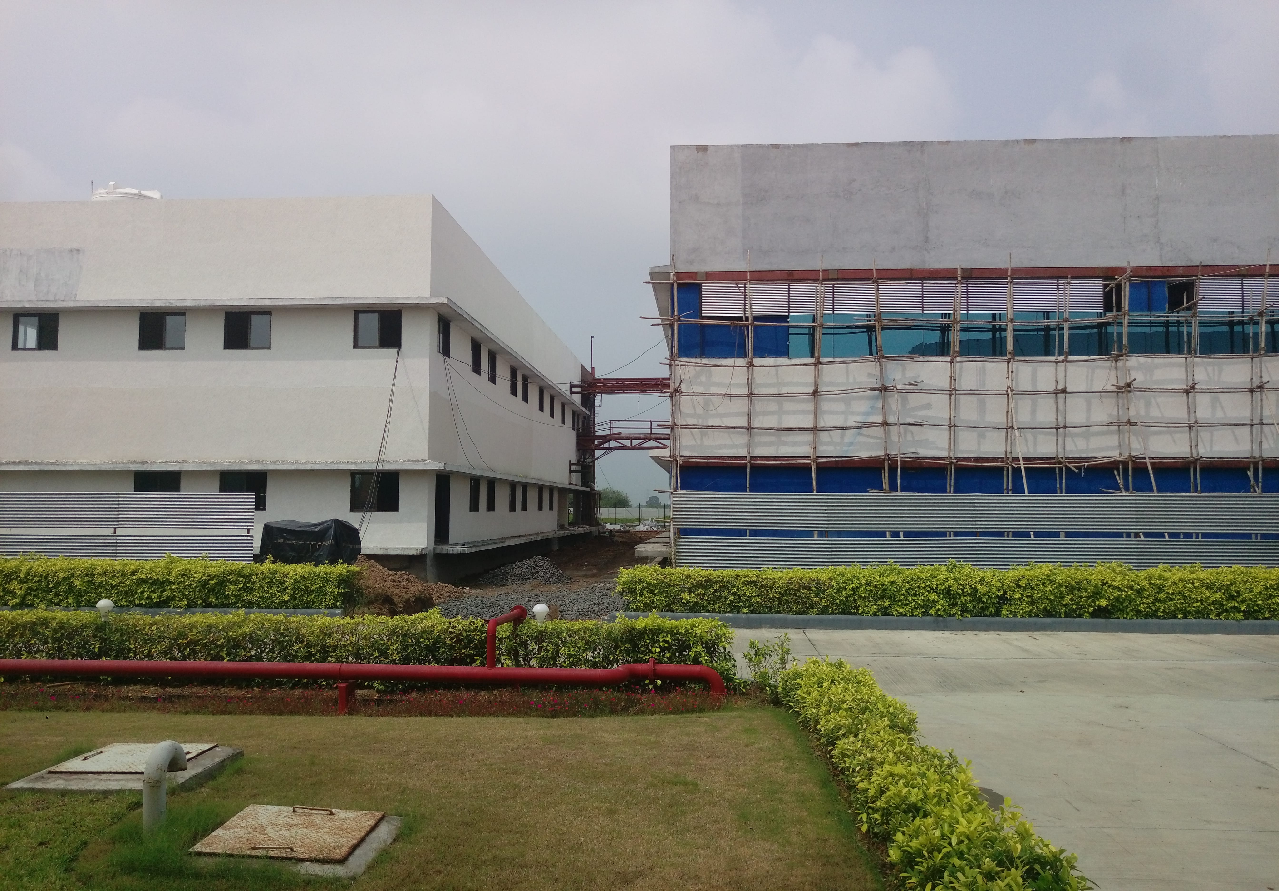 Torrent Pharma